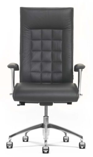 Beauté / Fauteuil de direction