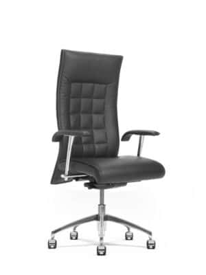 Beauté / Fauteuil de direction
