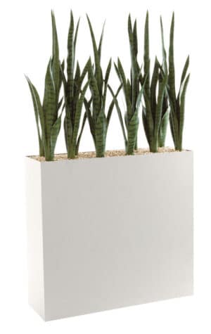 Sanseveria / Plantes artificielles + Jardinière H144 cm Blanc