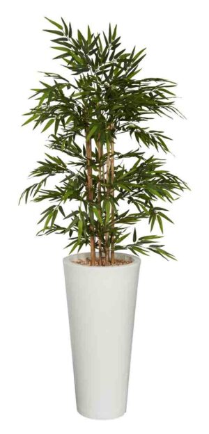 Bambou / Plante artificielle H200 cm Bac rond blanc