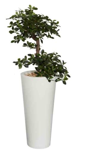 Bonsaï / Plante artificielle H150 cm Bac rond blanc