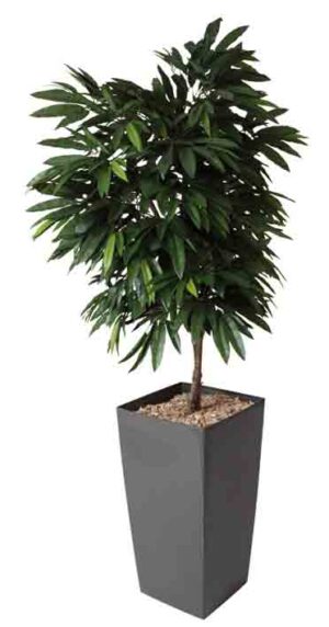 Manguier / Plante artificielle H190 cm Bac carré brillant anthracite