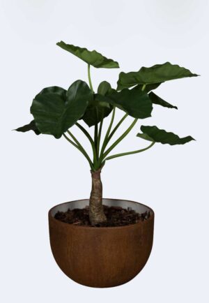 Alocasia 80 Tanaman / Plante artificielle décorative H80 cm