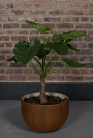 Alocasia 80 Tanaman / Plante artificielle décorative H80 cm