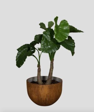 Alocasia 120 Tanaman / Plante artificielle décorative H120 cm
