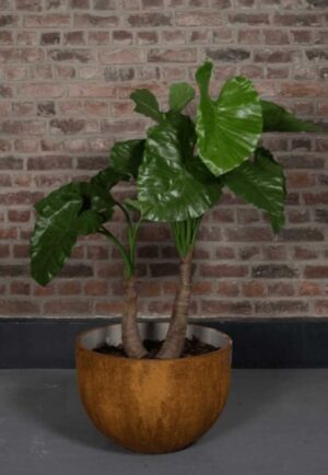 Alocasia 120 Tanaman / Plante artificielle décorative H120 cm