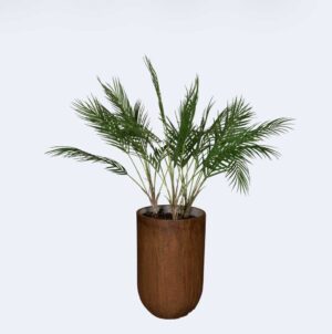 Palmier Tanaman / Plante artificielle décorative H80 cm