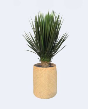 Yucca Tanaman / Plante artificielle décorative H110 cm