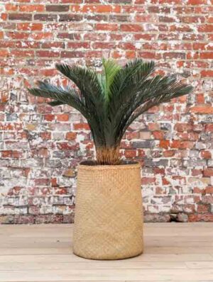 Cyscas Tanaman / Plante artificielle décorative H120 cm