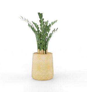 Zamia Tanaman / Plante artificielle décorative H100 cm