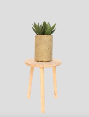 Aloe Tanaman / Plante artificielle décorative H40 cm