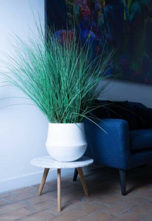 La Graminée Tanaman / Plante artificielle décorative H100 cm