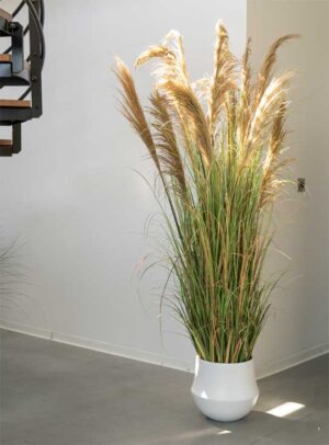 La grande Pampa Tanaman / Plante artificielle décorative H185 cm