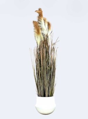 La grande Pampa Tanaman / Plante artificielle décorative H185 cm