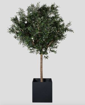 Olivier Tanaman / Arbre artificiel décoratif