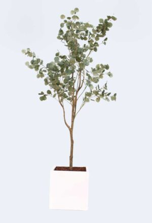 Eucalyptus Tanaman / Arbre artificiel décoratif H210 cm