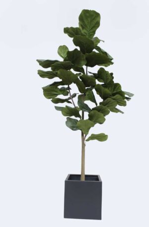 Lyrata Tanaman / Arbre artificiel décoratif H205 cm