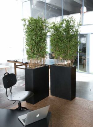 Bac Bambous Tanaman / Arbre artificiel décoratif H197 cm