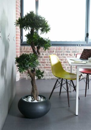Podocarpus Tanaman / Plante artificielle décorative H150 cm