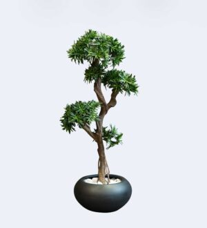 Podocarpus Tanaman / Plante artificielle décorative H150 cm