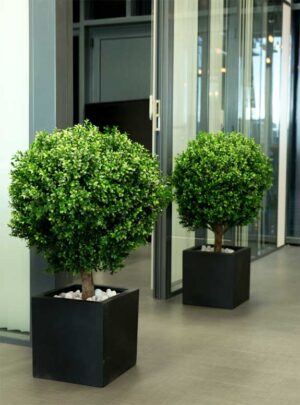 Buis Tanaman / Plante artificielle décorative H105 cm