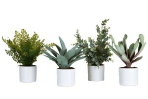 Lot de 4 pots ronds Tanaman / Plantes artificielles décoratives