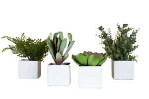 Lot de 4 pots carrés Tanaman / Plantes artificielles décoratives