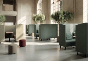 Amity Harmony / Box acoustique