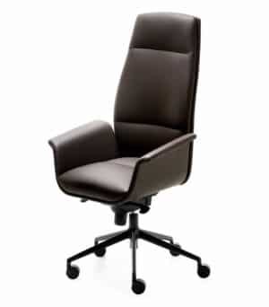 Cadira / Fauteuil président en cuir