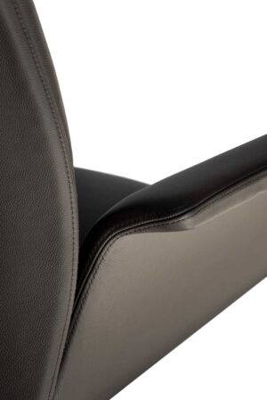 Cadira / Fauteuil président en cuir